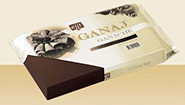 Elit Ganaj