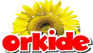 Orkide