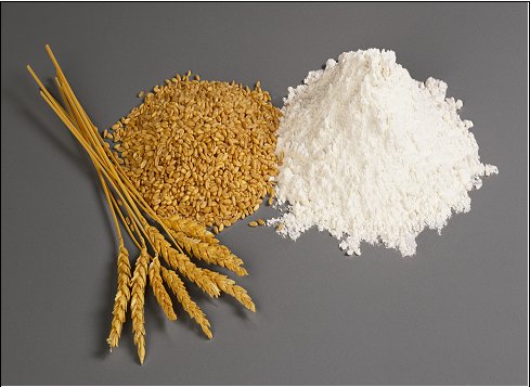 Gluten